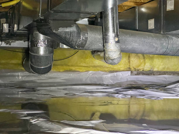 Best Basement water damage restoration  in Slater Marietta, SC
